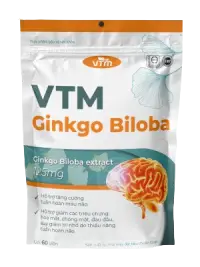 ginkgo bibola button 1 5 phương pháp hỗ trợ ngăn ngừa suy giảm trí nhớ hiệu quả từ VTM